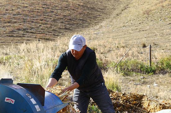 2020年9月24日，包拉提·巴拉什使用电动粉碎机加工饲草。黄骋 摄