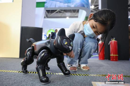 5月27日，一名小朋友在和AI仿生机器猫互动。5月26日至28日，以“数智变 物致新”为年度主题的2021中国国际大数据产业博览会在贵州省贵阳市举行，吸引众多民众观展。　 中新社记者 瞿宏伦 摄