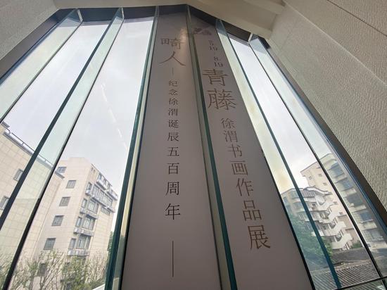 “畸人青藤——徐渭书画作品展”现场。项菁 摄