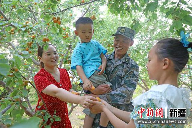 5月29日，一家四口来到军营杏园开心的采摘杏子。