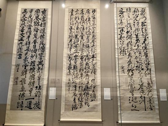 5米高的徐渭书法真迹。项菁 摄
