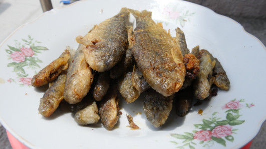巴马特色美食—油鱼。