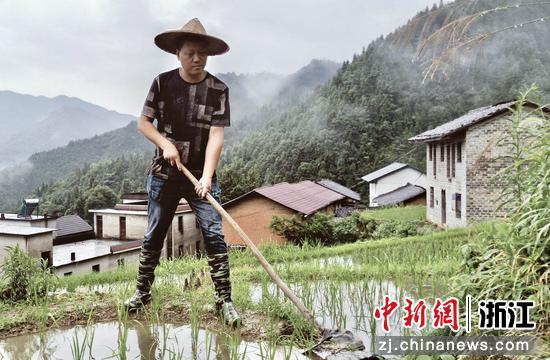 邱红保在地里耕作 受访者本人供图