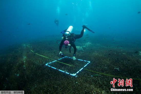 近日，泰国Ko Losin保护区，潜水员和沿海资源研究中心的工作人员移除海底的废弃渔网。