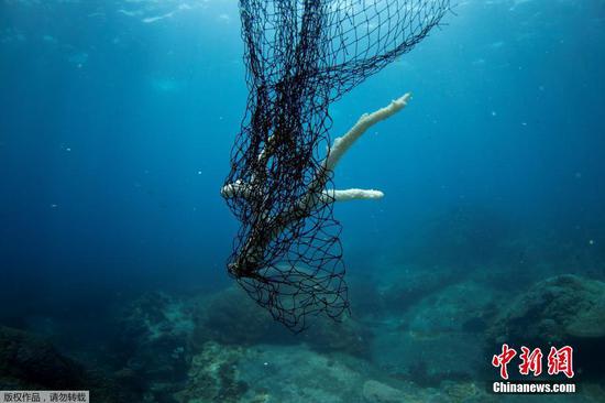 近日，泰国Ko Losin保护区，潜水员和沿海资源研究中心的工作人员移除海底的废弃渔网。图为废弃渔网缠绕在海底。