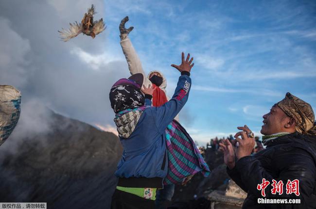印尼民众朝火山口扔活鸡 祈求好运和丰收