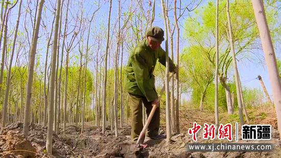 王成帮退休后义务植树30余年图