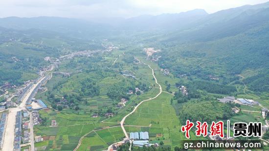 坪地場鄉黃花菜種植基地 坪地場鄉黃花菜種植基地