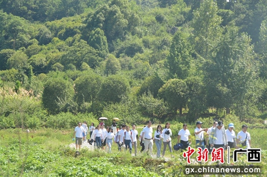 师生们重走湘桂古道    广西大学新闻与传播学院供图