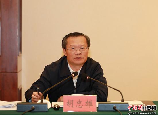 图为中共贵州省委常委、省委统战部部长胡忠雄讲话