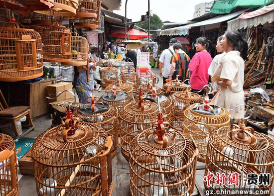 7月17日，顾客走在贵阳阳明花鸟市场内一卖鸟笼的店家旁。乔啟明 摄