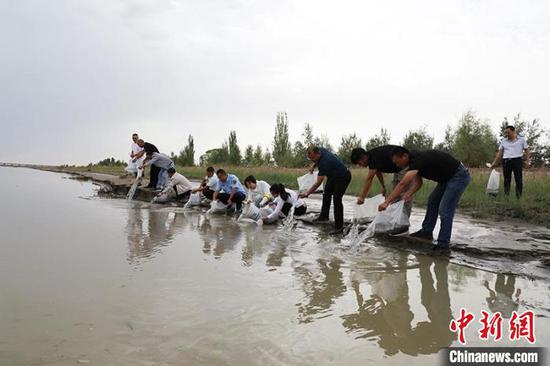 此次共在塔里木河阿拉尔段增殖放流人工繁育叶尔羌高原鳅子一代4万多尾。　李桃 摄