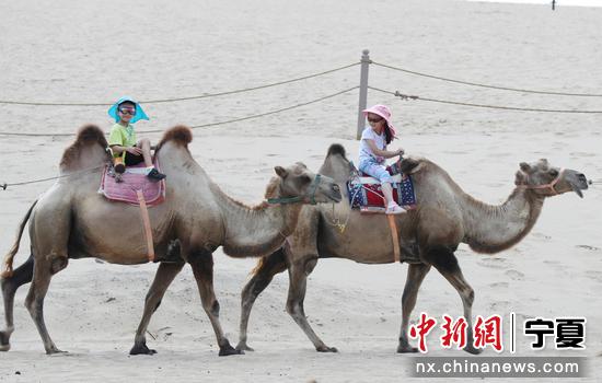 7月20日，小朋友在宁夏石嘴山市沙湖景区内骑骆驼游玩。于晶 摄