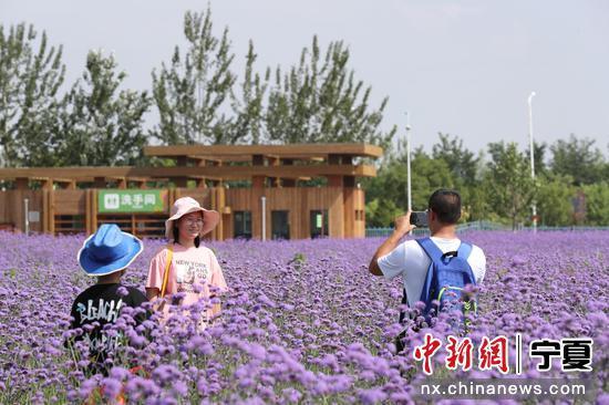 7月20日，游客在宁夏石嘴山市沙湖景区内拍照。于晶 摄
