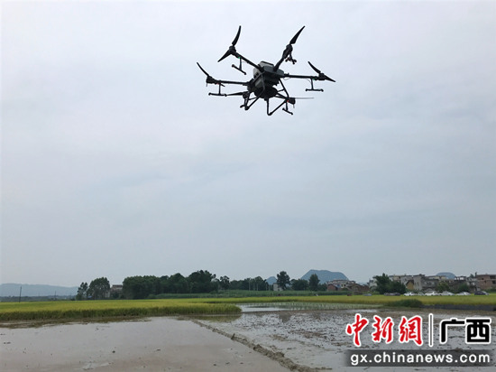 深圳大疆科技有限公司生产的T30无人机进行喷药作业演示 黄勤 摄