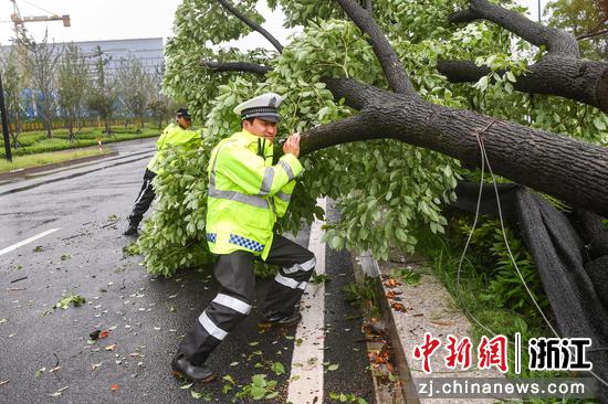 民警清理被风刮倒的大树。 杭州公安 供图