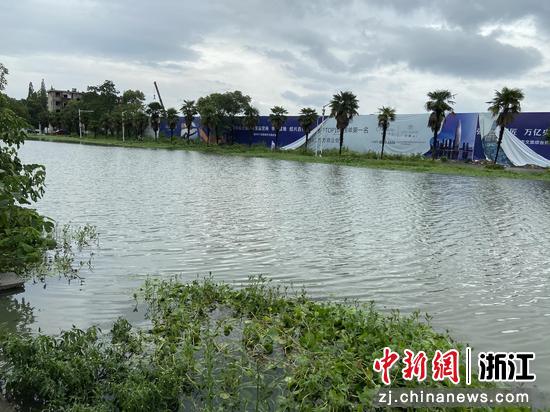27日绍兴环城河一幕 项菁 摄