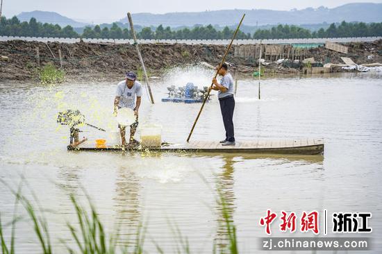 对海塘进行灾后补救。徐铭怿 摄
