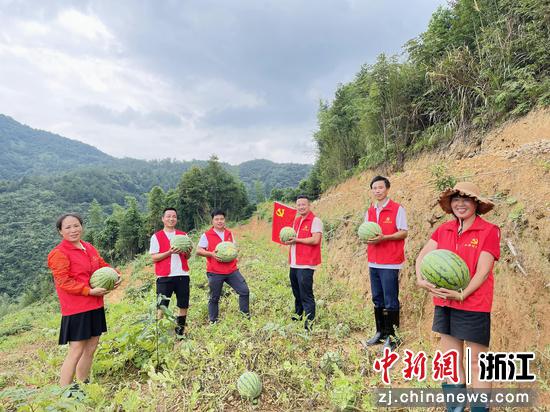 党员志愿者帮忙采收西瓜。小源村 供图