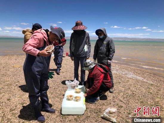 科考队员在高原湖泊岸边进餐。　中新社记者 孙自法 摄