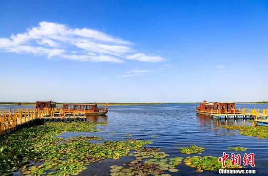 芙蓉出水引客來 中國最大野生睡蓮群迎最佳觀賞季