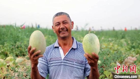 留香瓜原名“库克拜热瓜”，主要在巴楚县种植。新疆甜瓜的瓜瓤多为橙黄色，“留香瓜”瓜瓤是绿色的。　姑再努尔　摄