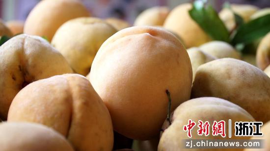 黄桃 胡永帆 摄