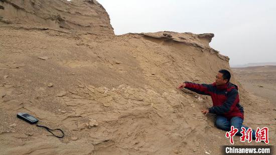 汪筱林研究员在恐龙化石采集现场。　中科院古脊椎所 供图