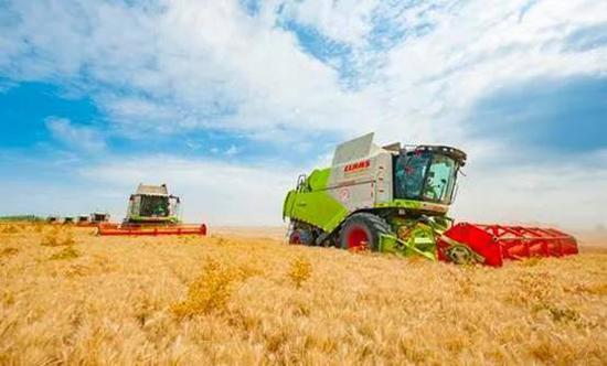 7月7日，昌吉州农机合作服务联盟的7台小麦联合收割机正在作业。