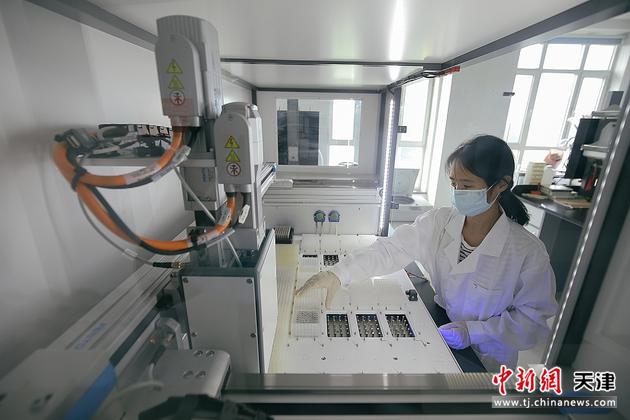 8月21日，工作人員使用DNA自動提取儀對水稻進行分析。