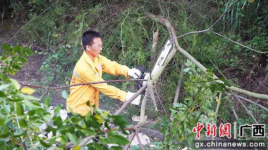 图为玉林工务段组织专业队砍伐清理铁路沿线的危树危竹杂灌，消除防洪安全隐患。李慕传  摄