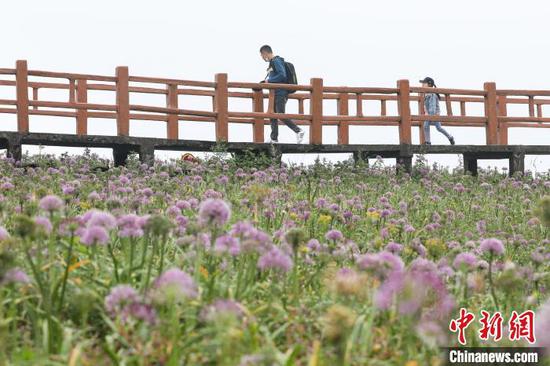 8月27日，游客在赫章縣阿西里西·韭菜坪景區游玩?！■暮陚悺z