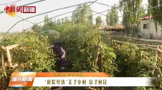 新疆喀什“庭院經濟”美了鄉村 富了村民