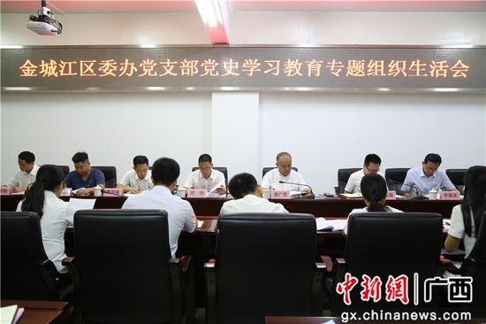 河池市金城江区委办党支部召开党史学习教育专题组织生活会