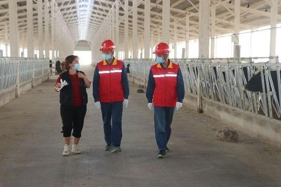 8月15日，国网巴楚县供电公司党员服务队队员在南达畜牧养殖厂了解用电情况。梅佳佳 摄