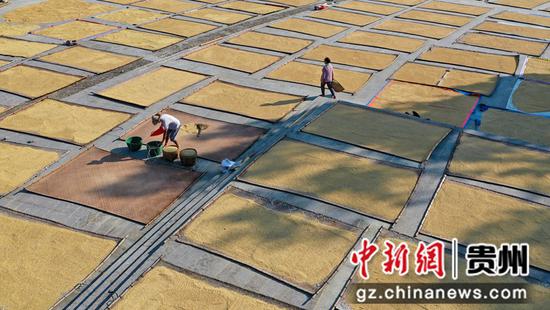 2021年8月30日，在貴州省銅仁市碧江區瓦屋侗族鄉克蘭寨，農民在晾曬谷子。