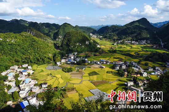 从白虎山观光道俯瞰油海村 金黄的稻田和村庄勾勒出一幅美丽图景