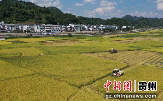 2021年8月30日，在貴州省銅仁市碧江區瓦屋侗族鄉司前村水稻基地，農民駕駛收割機收割稻谷。