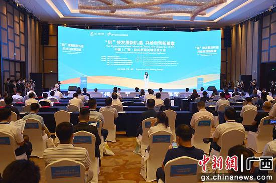 中国（广西）自贸试验区推介会在南宁举行。主办方供图