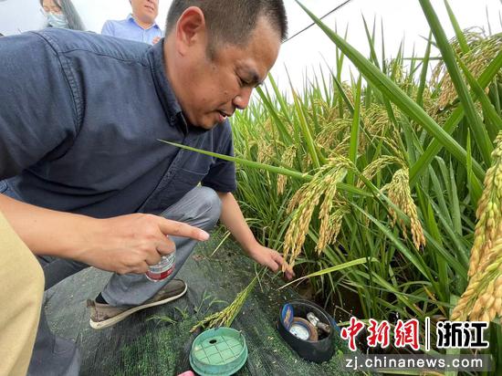 永康水务局副局长李辉展示农村生活再生水灌溉高效利用与安全调控技术实验区的设备。张斌 摄