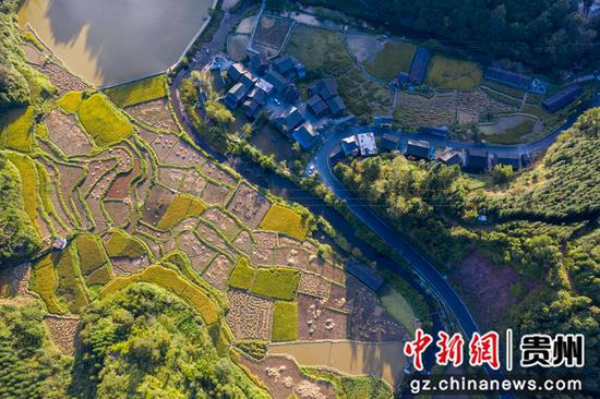2021年9月16日，在贵州省从江县往洞镇增冲村拍摄的丰收稻田（无人机照片）。