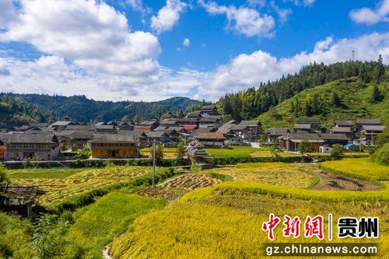 2021年9月16日，在贵州省从江县往洞镇增盈村拍摄的丰收稻田（无人机照片）。