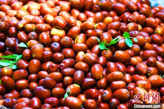 在2014年12月，托克逊县被中国经济林协会评为“中国早熟红枣之乡”。　胡国凯 摄