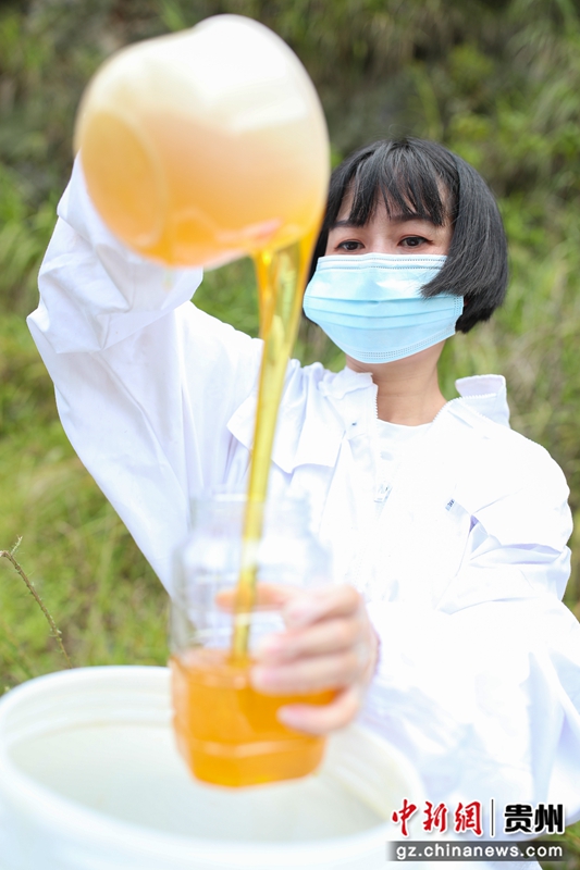 郑瑜在罐装蜂蜜。