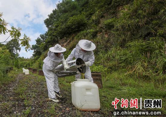郑瑜（左）在过滤蜂蜜。