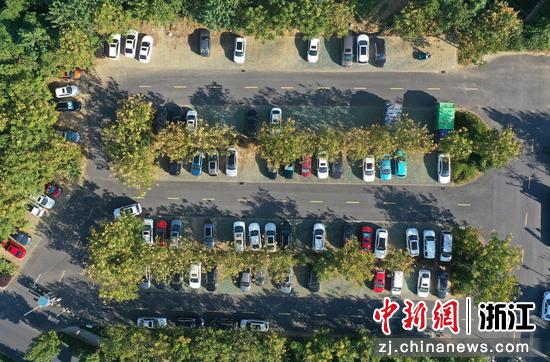 杭州龙坞茶园附近的停车场将近饱和。（无人机照片） 王刚 摄