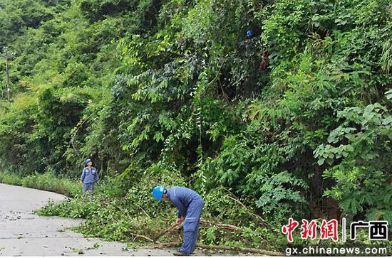 组织对频繁跳闸停电线路附近树木进行砍伐清理。胡源深 摄