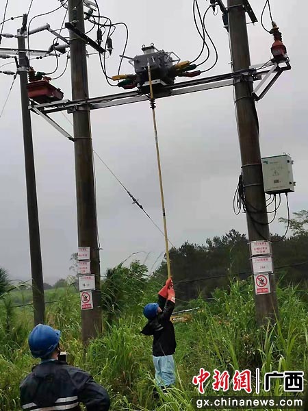 广西新电力集团宁明供电公司为10千伏长桥线送电。苏明欢 摄