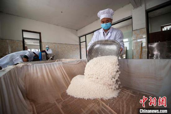 从江县一家煨酒企业车间，工人正在准备蒸糯米饭。　吴德军　摄