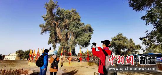 新疆轮台第七届“天下有胡杨 轮台是故乡”文化旅游节开幕
